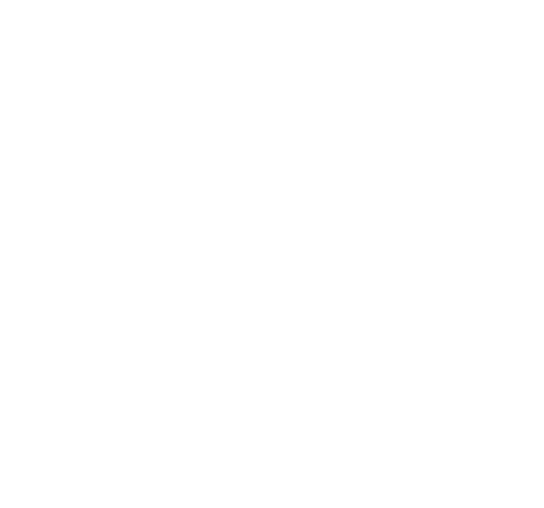 London Borough of Lewisham logo 